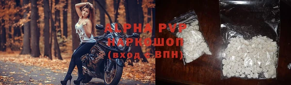 СК Абинск