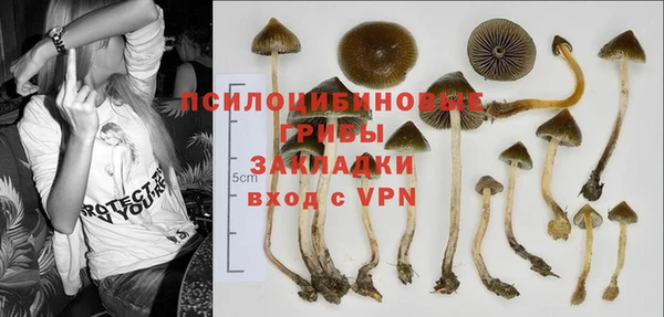 ешки Алексин
