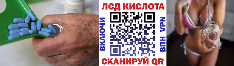 ЛСД экстази ecstasy  где продают наркотики  Вытегра 